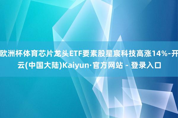 欧洲杯体育芯片龙头ETF要素股星宸科技高涨14%-开云(中国大陆)Kaiyun·官方网站 - 登录入口