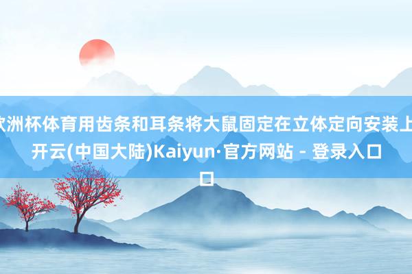 欧洲杯体育用齿条和耳条将大鼠固定在立体定向安装上-开云(中国大陆)Kaiyun·官方网站 - 登录入口