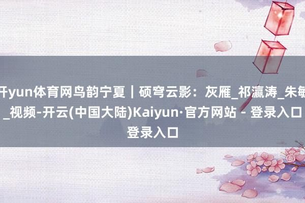 开yun体育网鸟韵宁夏｜硕穹云影：灰雁_祁瀛涛_朱敏_视频-开云(中国大陆)Kaiyun·官方网站 - 登录入口